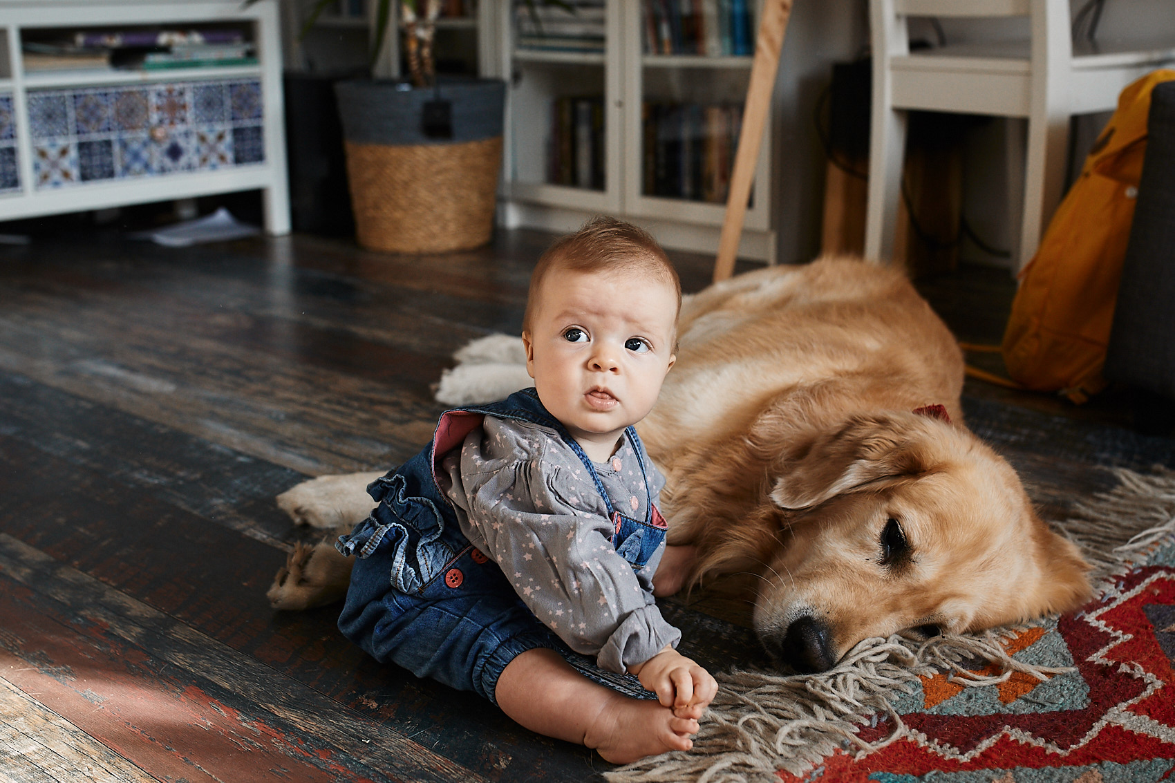 dziecko i pies sesja fotograficzna rodzinna warszawa